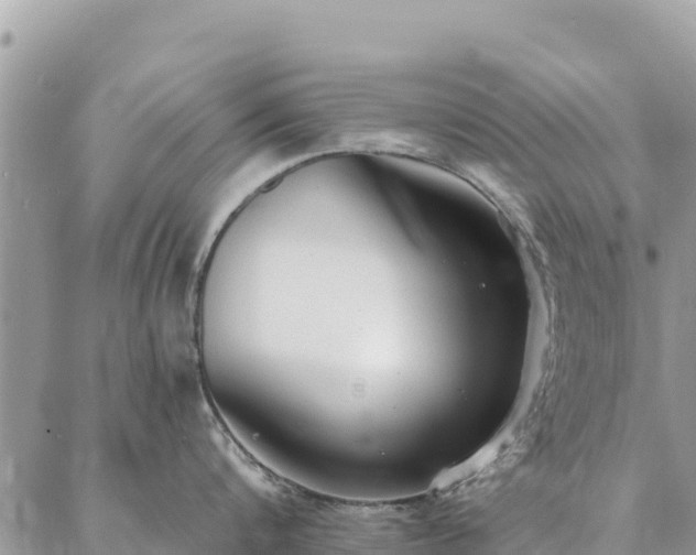 X0000086900816200704231151