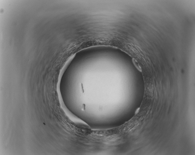 X0000086900817200704231151