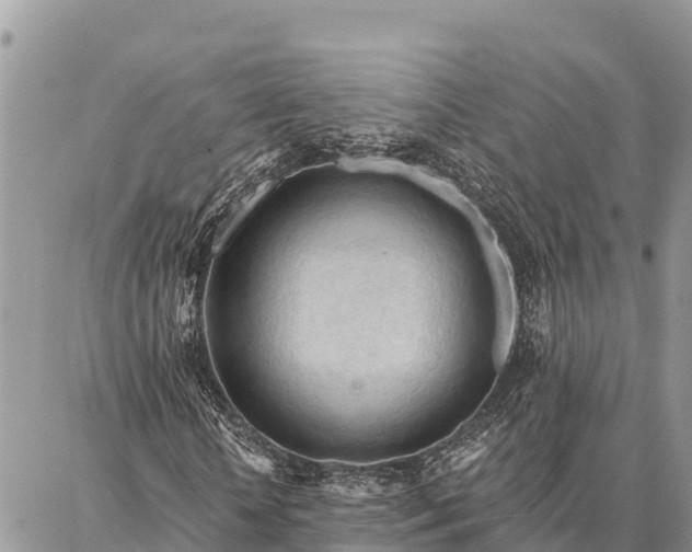 X0000086900818200704231151