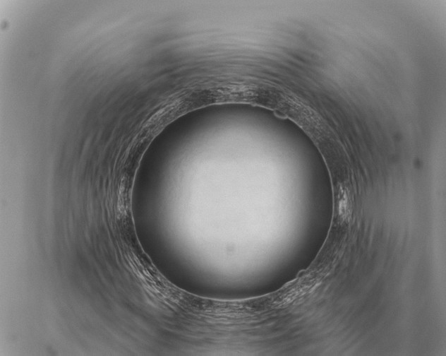 X0000086900819200704231151