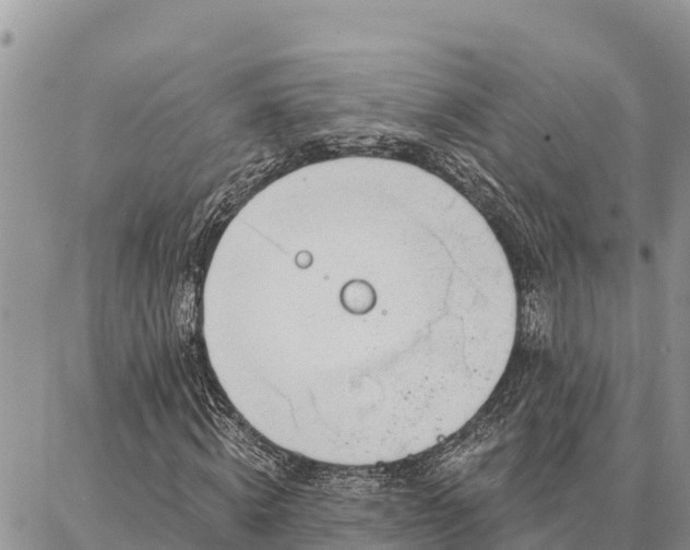 X0000086900820200704231151