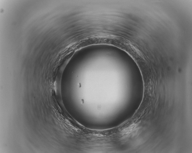 X0000086900821200704231151