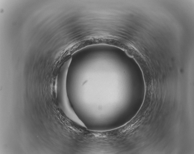 X0000086900822200704231151