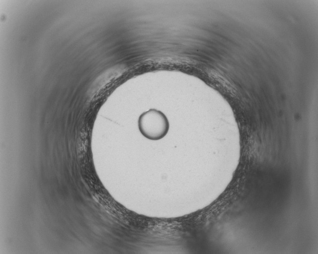 X0000086900824200704231151