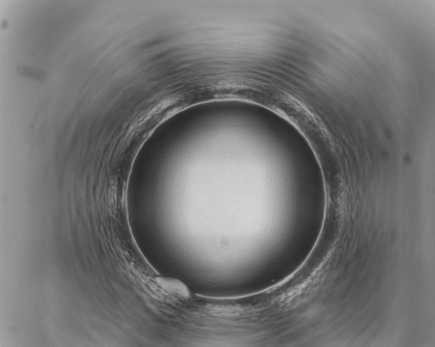 X0000086900825200704231151