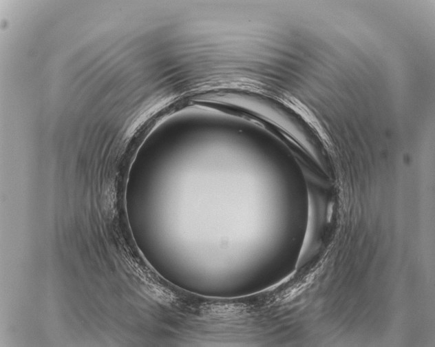 X0000086900826200704231151