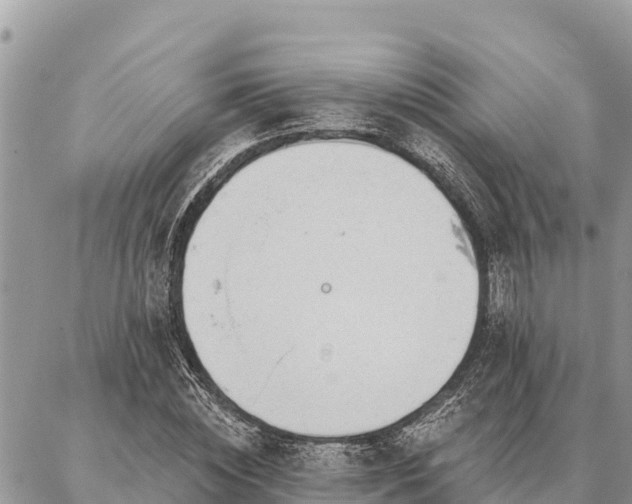 X0000086900828200704231151