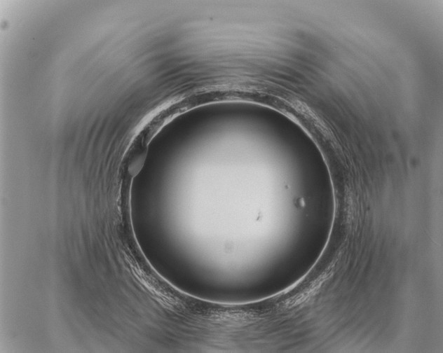 X0000086900830200704231151