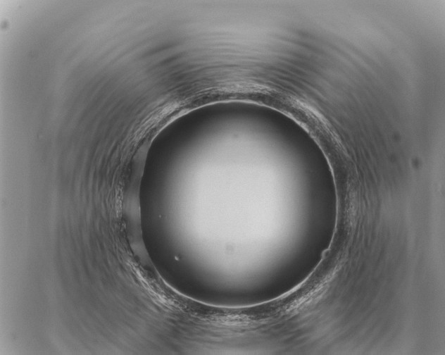 X0000086900833200704231151