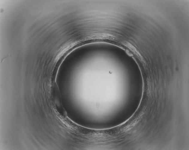 X0000086900834200704231151