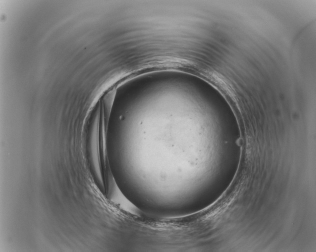 X0000086900835200704231151