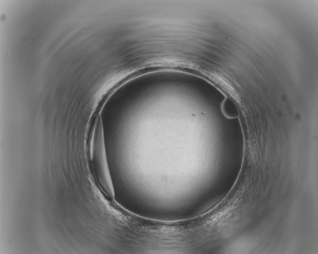 X0000086900839200704231151