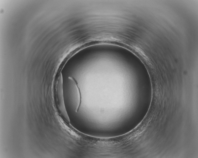 X0000086900840200704231151