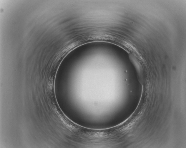 X0000086900841200704231151