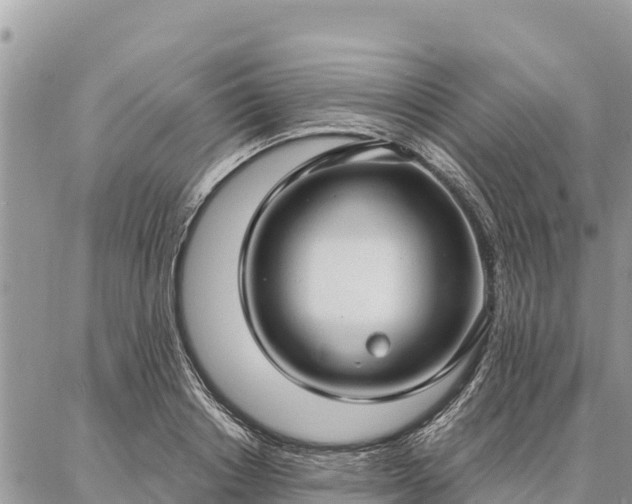 X0000086900842200704231151