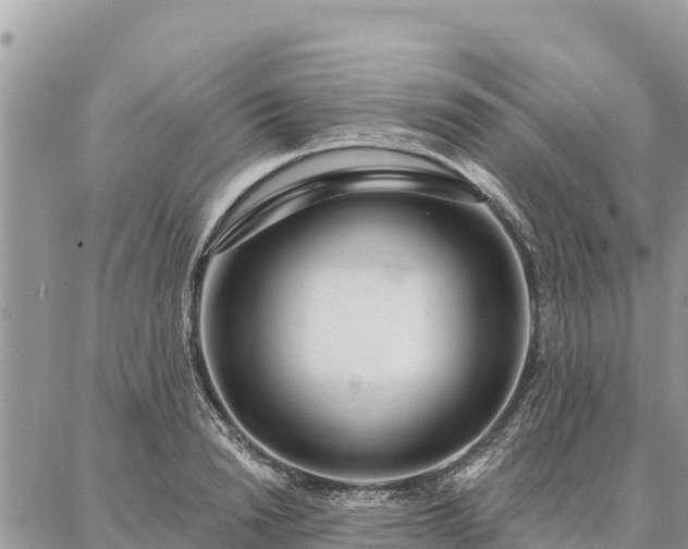 X0000086900846200704231151