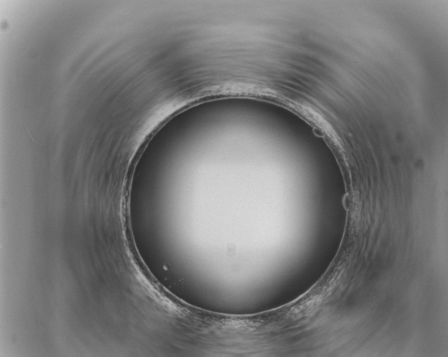 X0000086900847200704231151