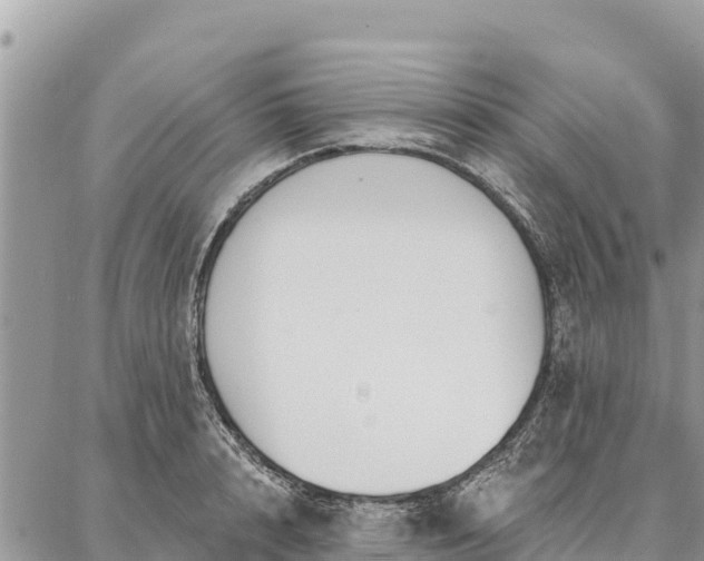 X0000086900848200704231151