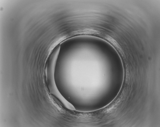 X0000086900850200704231151