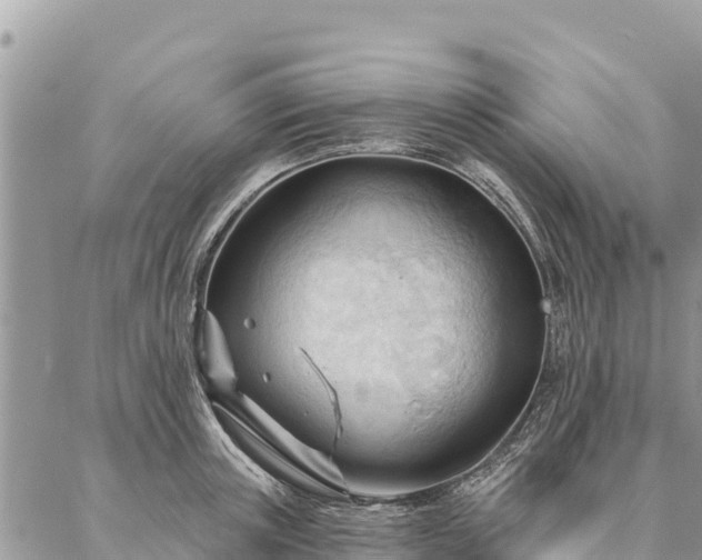 X0000086900851200704231151