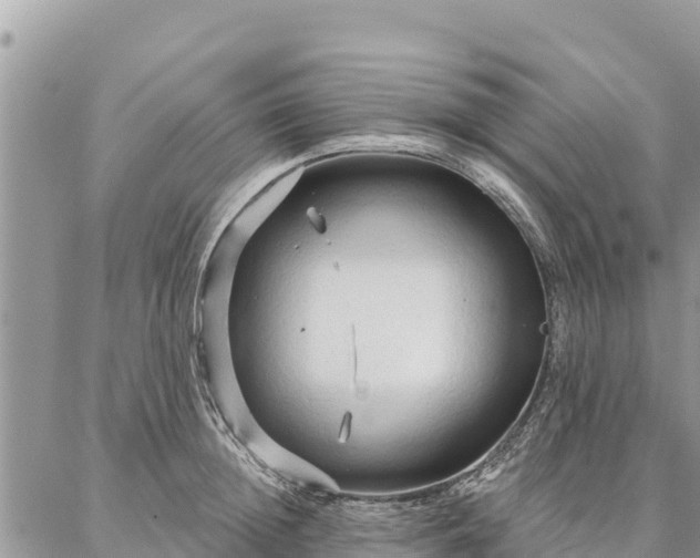 X0000086900852200704231151