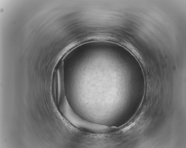 X0000086900853200704231151