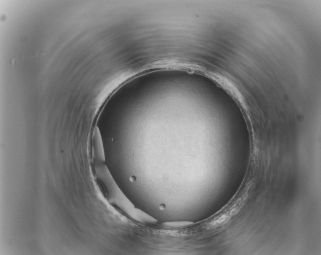 X0000086900855200704231151