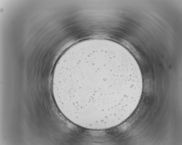 X0000086900856200704231151