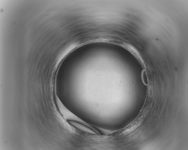 X0000086900859200704231151