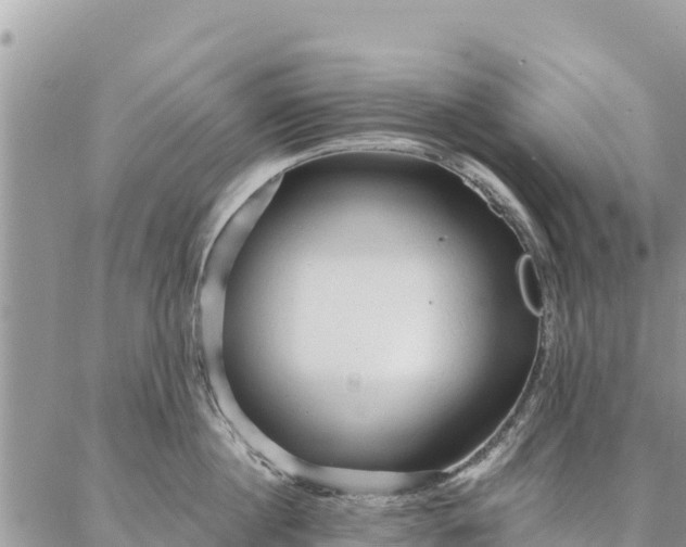 X0000086900860200704231151