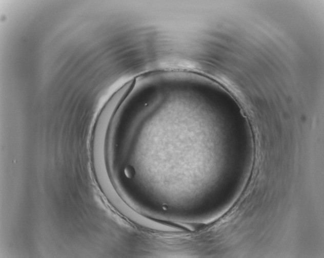 X0000086900864200704231151