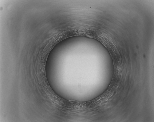 X0000086900865200704231151