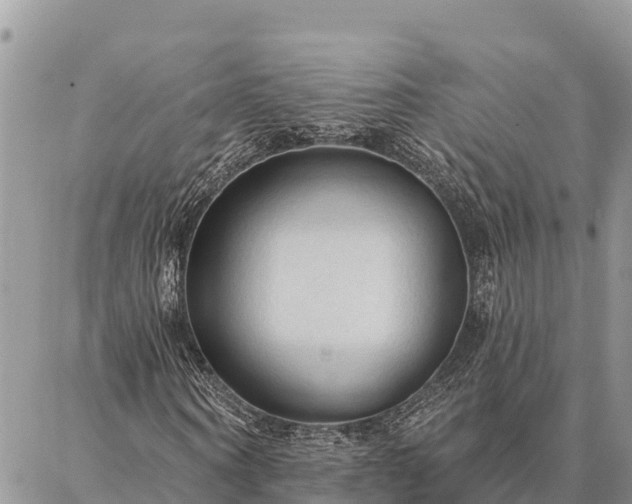 X0000086900866200704231151