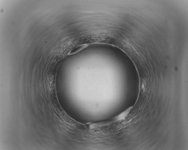 X0000086900867200704231151