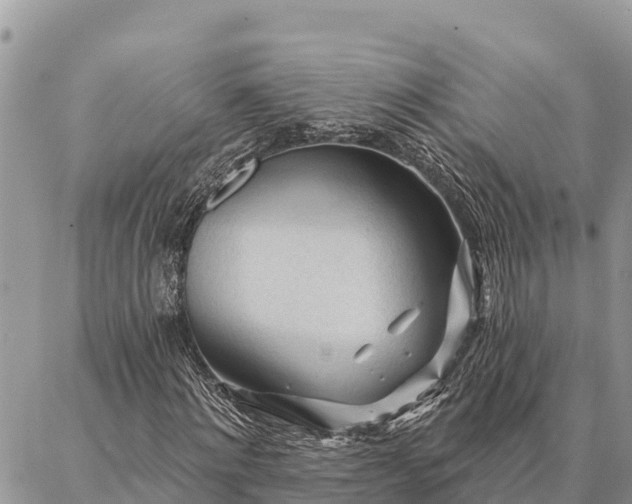 X0000086900868200704231151