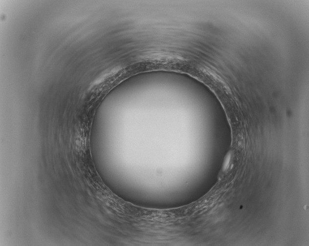 X0000086900869200704231151