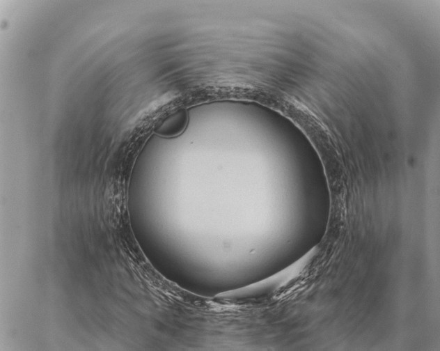 X0000086900870200704231151