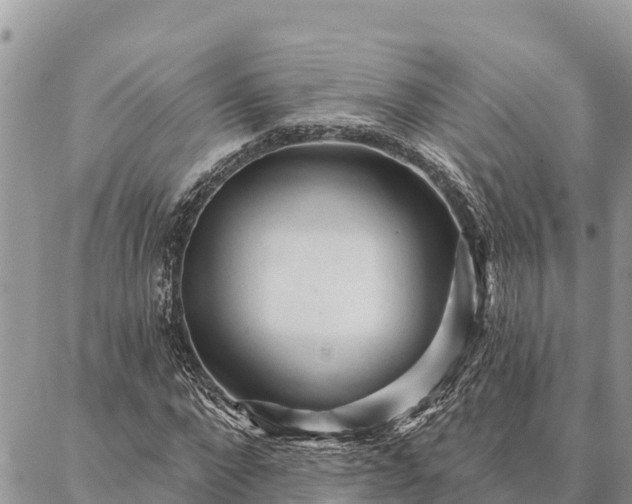 X0000086900872200704231151