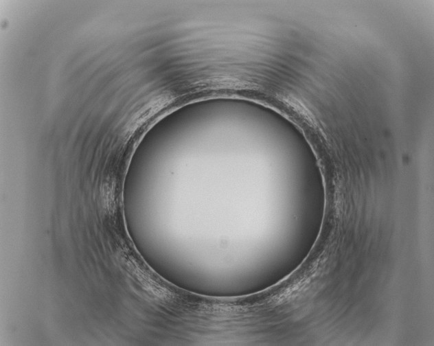 X0000086900873200704231150