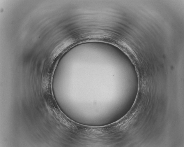 X0000086900874200704231150