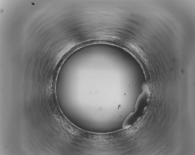 X0000086900875200704231150