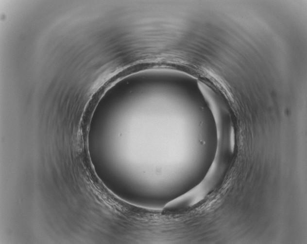 X0000086900876200704231150