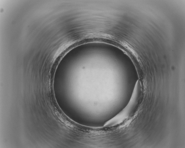 X0000086900877200704231150