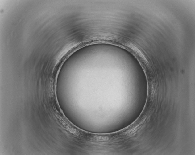 X0000086900878200704231150