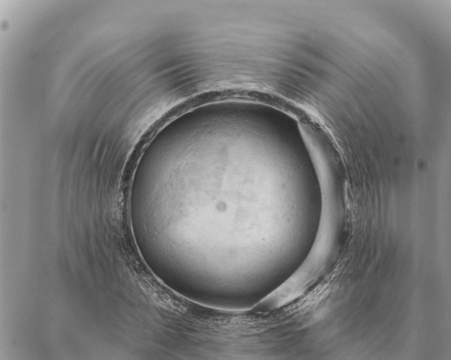 X0000086900879200704231150