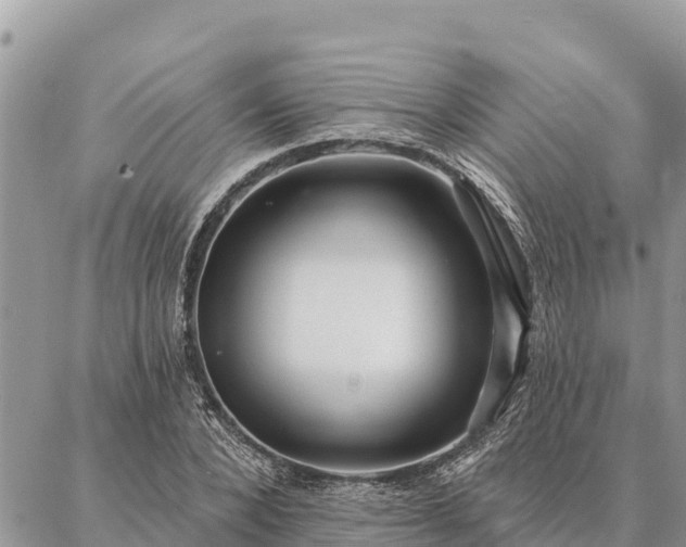 X0000086900880200704231150