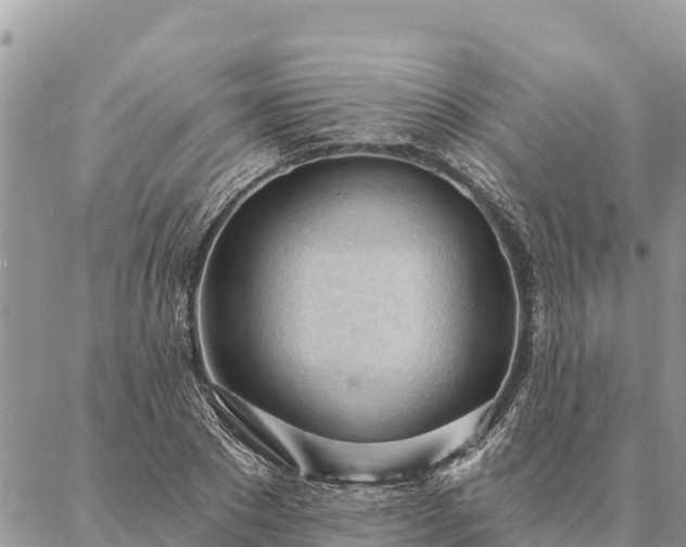 X0000086900881200704231150