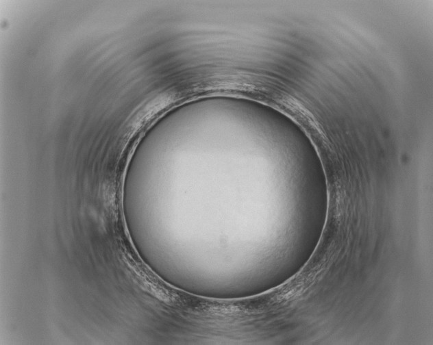 X0000086900882200704231150