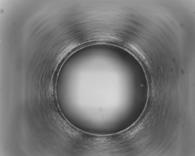 X0000086900883200704231150