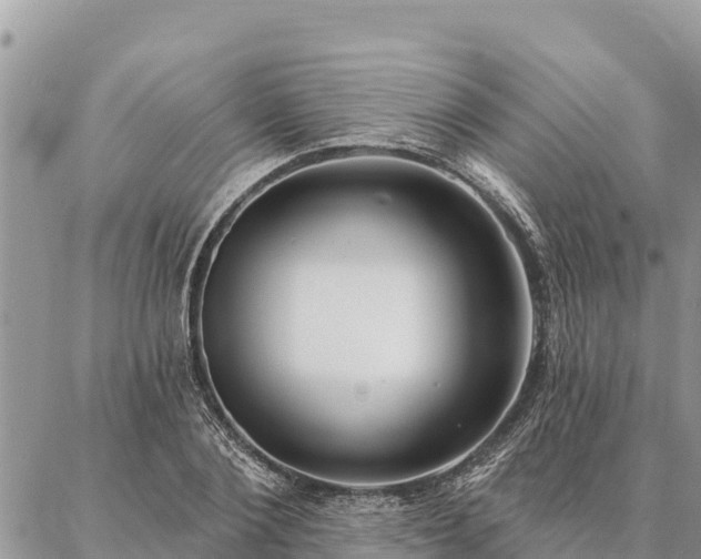 X0000086900884200704231150